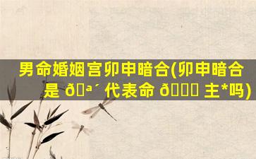 男命婚姻宫卯申暗合(卯申暗合是 🪴 代表命 💐 主*
吗)